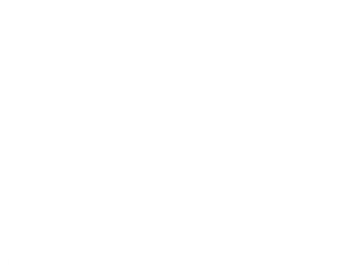 Holmes Ace Hardware